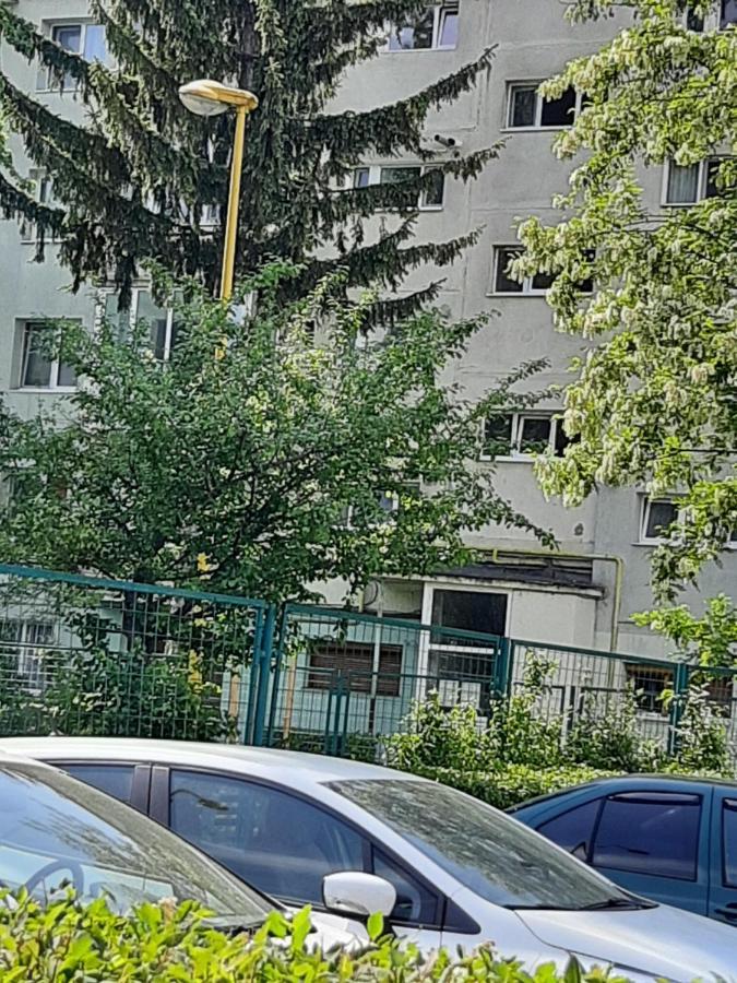 Home Uranus Brasov Bagian luar foto